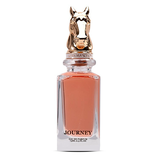 Aurora Scents Journey EDP 100ml Masculino