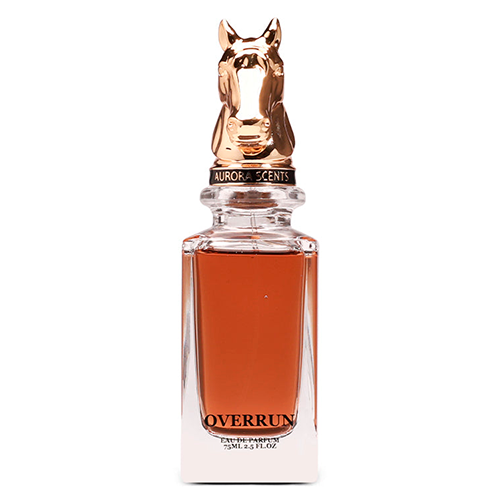 Aurora Scents Overrun EDP 100ml Masculino