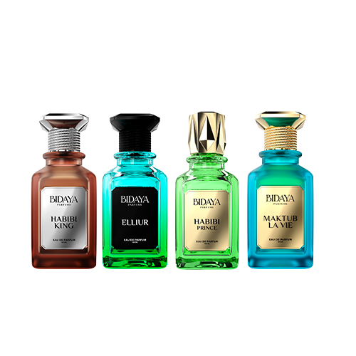 Bidaya Kit 4 Perfumes EDP 100ml Masculino (King, Prince, Elliur, La Vie)