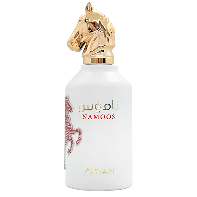 Anfar Namoos EDP 100ml Masculino